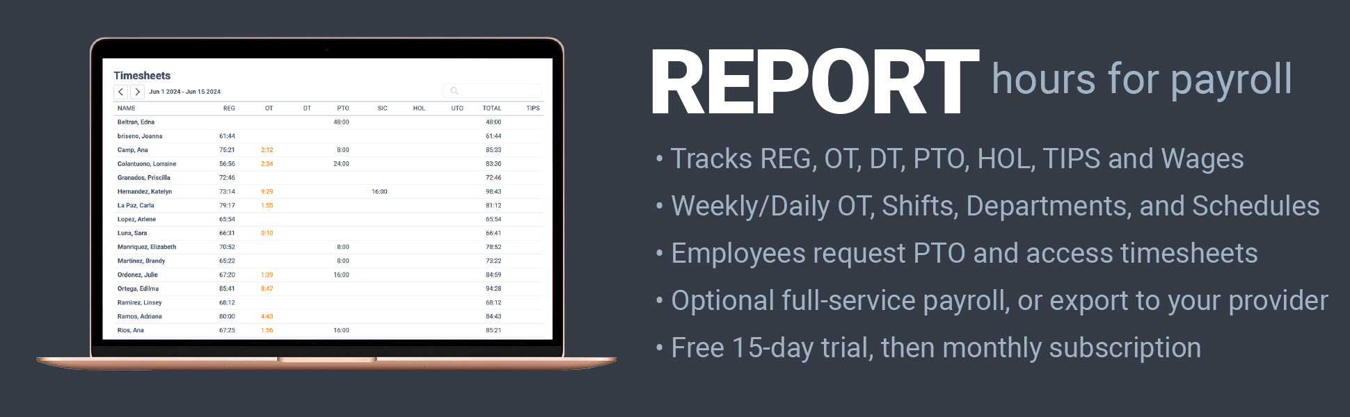 webtimeclock web based report hours for payroll